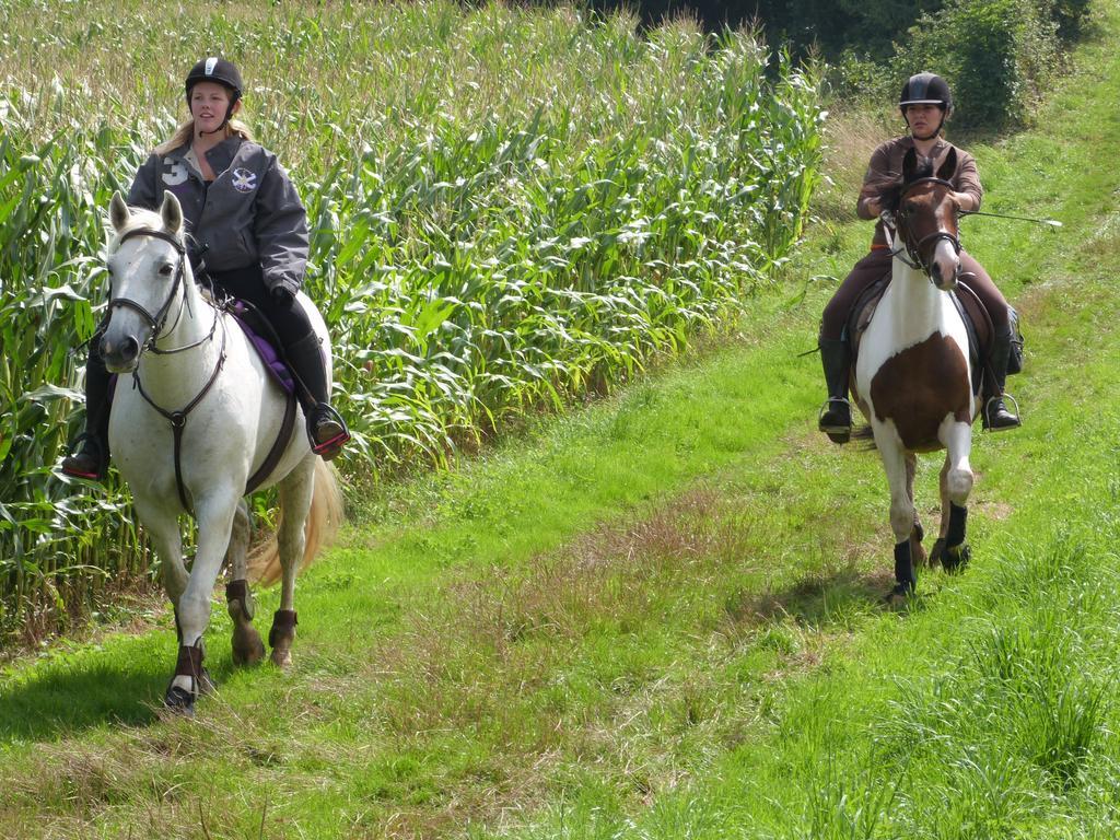 Gite Et Relais Equestre De Marie Tours-en-Vimeu Zewnętrze zdjęcie
