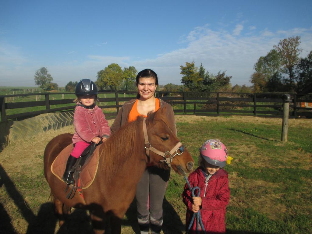 Gite Et Relais Equestre De Marie Tours-en-Vimeu Zewnętrze zdjęcie