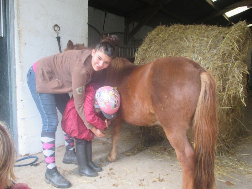 Gite Et Relais Equestre De Marie Tours-en-Vimeu Zewnętrze zdjęcie