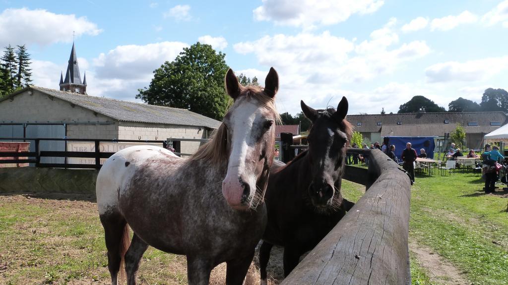 Gite Et Relais Equestre De Marie Tours-en-Vimeu Pokój zdjęcie