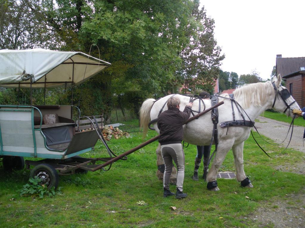 Gite Et Relais Equestre De Marie Tours-en-Vimeu Pokój zdjęcie