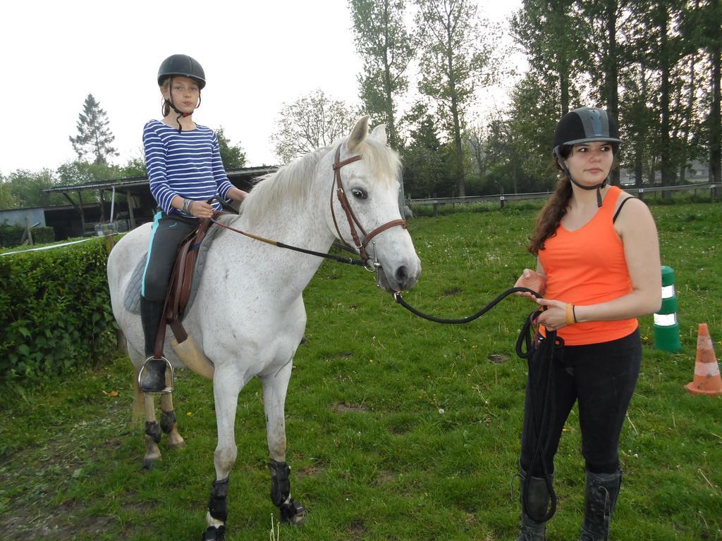 Gite Et Relais Equestre De Marie Tours-en-Vimeu Pokój zdjęcie