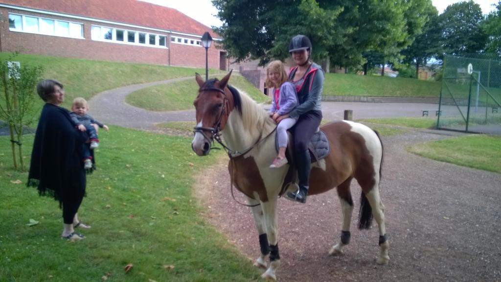 Gite Et Relais Equestre De Marie Tours-en-Vimeu Zewnętrze zdjęcie